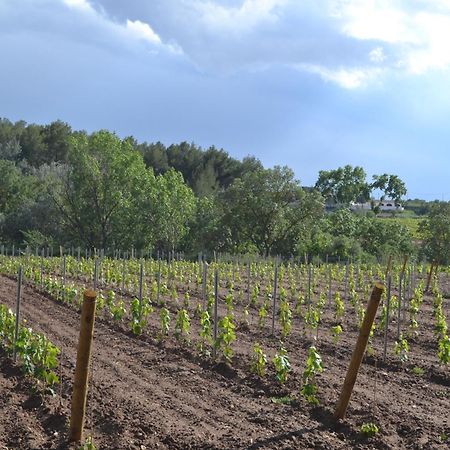 Casa Cal Tofol Βίλα Font-Rubi Εξωτερικό φωτογραφία